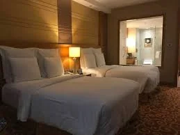 Comfort in the Wild Luxury lodge
